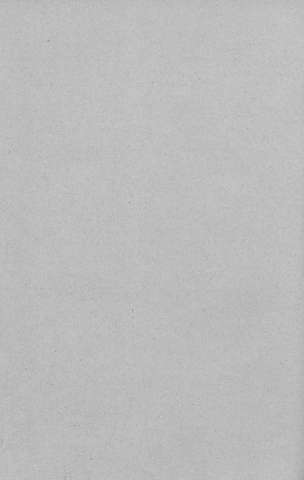 384