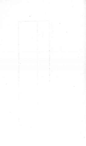 Num.1v