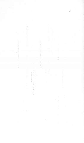 Num.3v