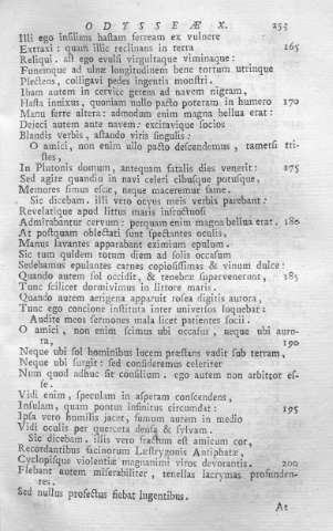 253