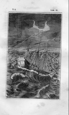Lám.41