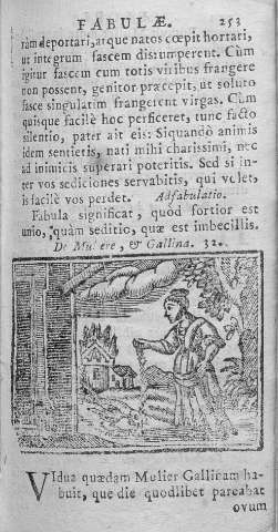 253