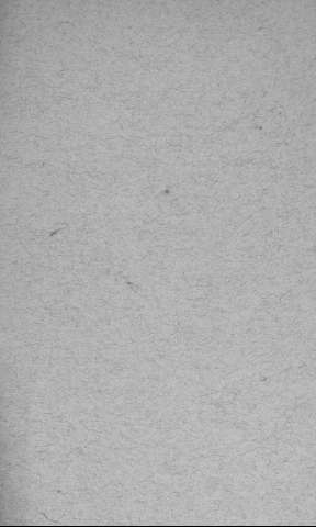 [Guarda]