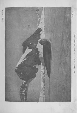 199