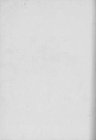 294