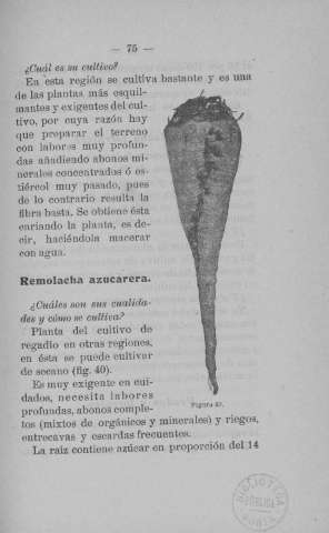 75