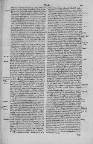 177
