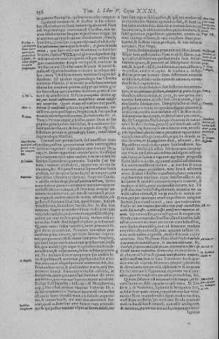 256