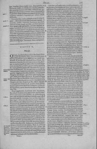 325