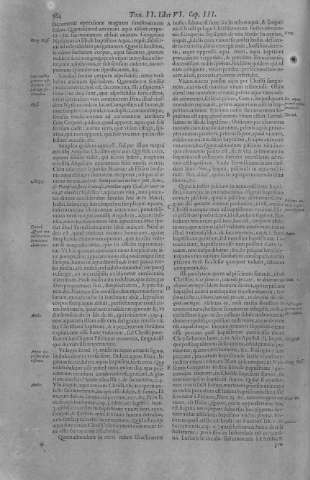 384