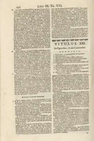 256