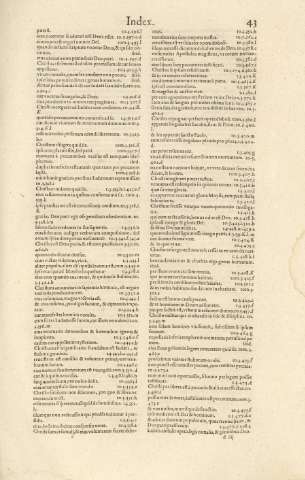 43