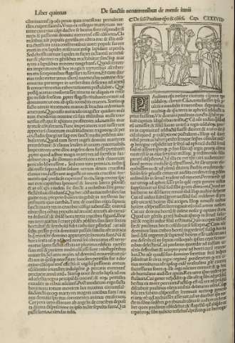 119v
