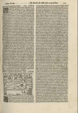 141r