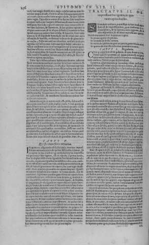 256