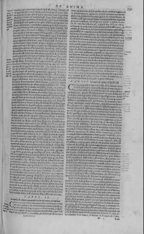 291