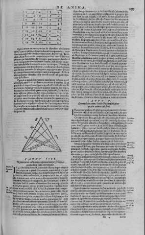295