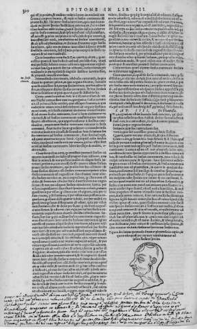 310