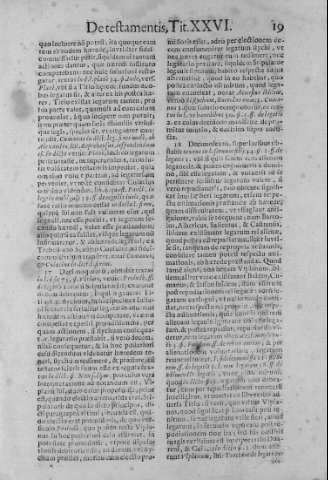19
