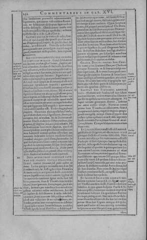 232