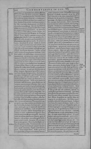 310