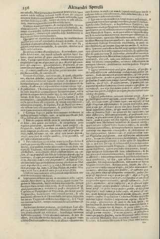 256