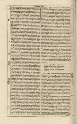 110