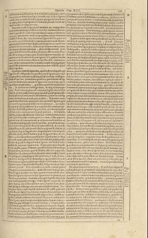 225