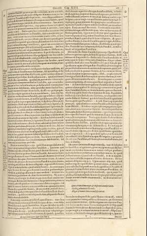 231