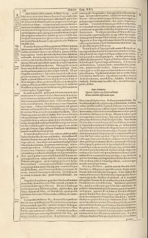 238