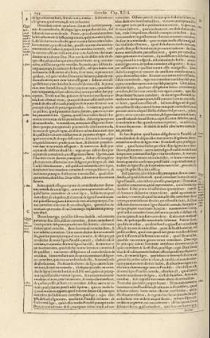244