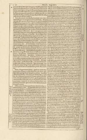 250