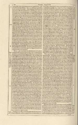 256