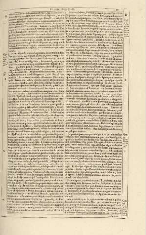 261