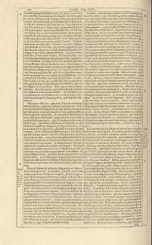 262