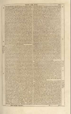 293