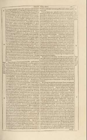 323
