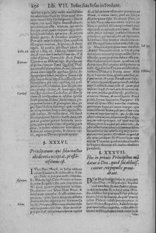 256