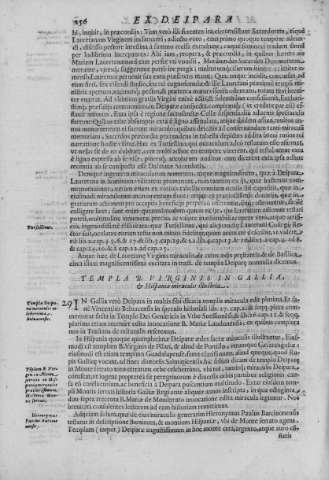 256