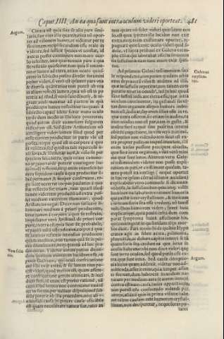 481