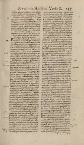 255