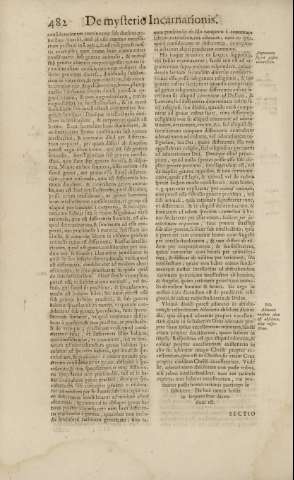 482