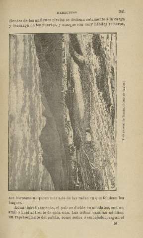 241