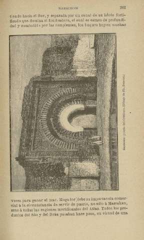 261
