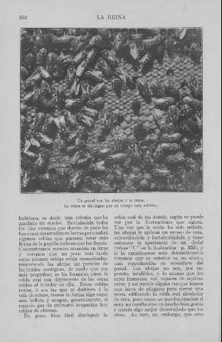 352