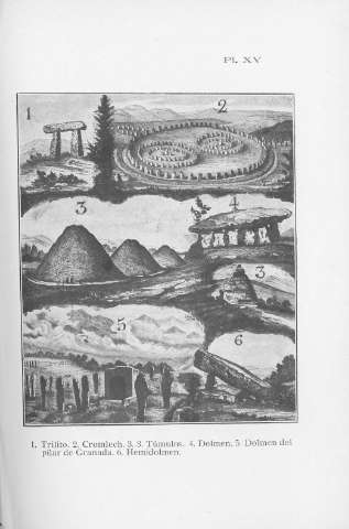 Pl. XV
