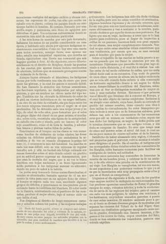 284