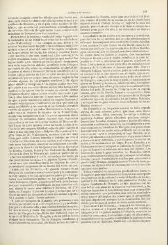 381