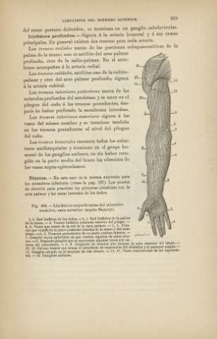 213
