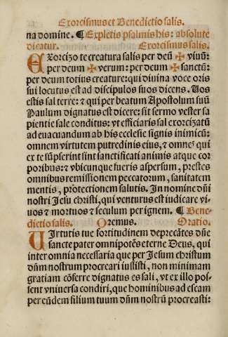 CXv
